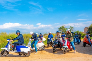 Majorque : Montagnes, villages et scooter des mers du sud-ouest