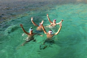 Mallorca : Aventura en lancha rápida, snorkel y natación