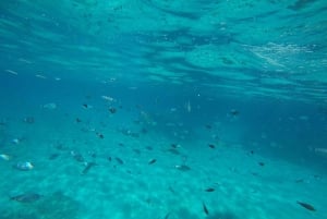 Mallorca: lancha, mergulho com snorkel e aventura de natação