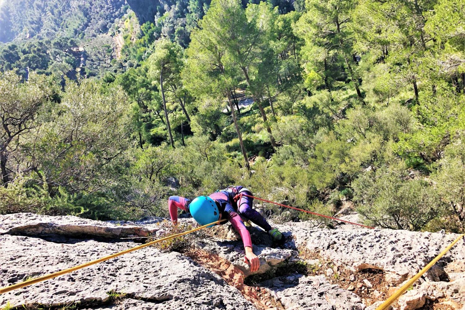 Mallorca: Sport Climbing Day or Course