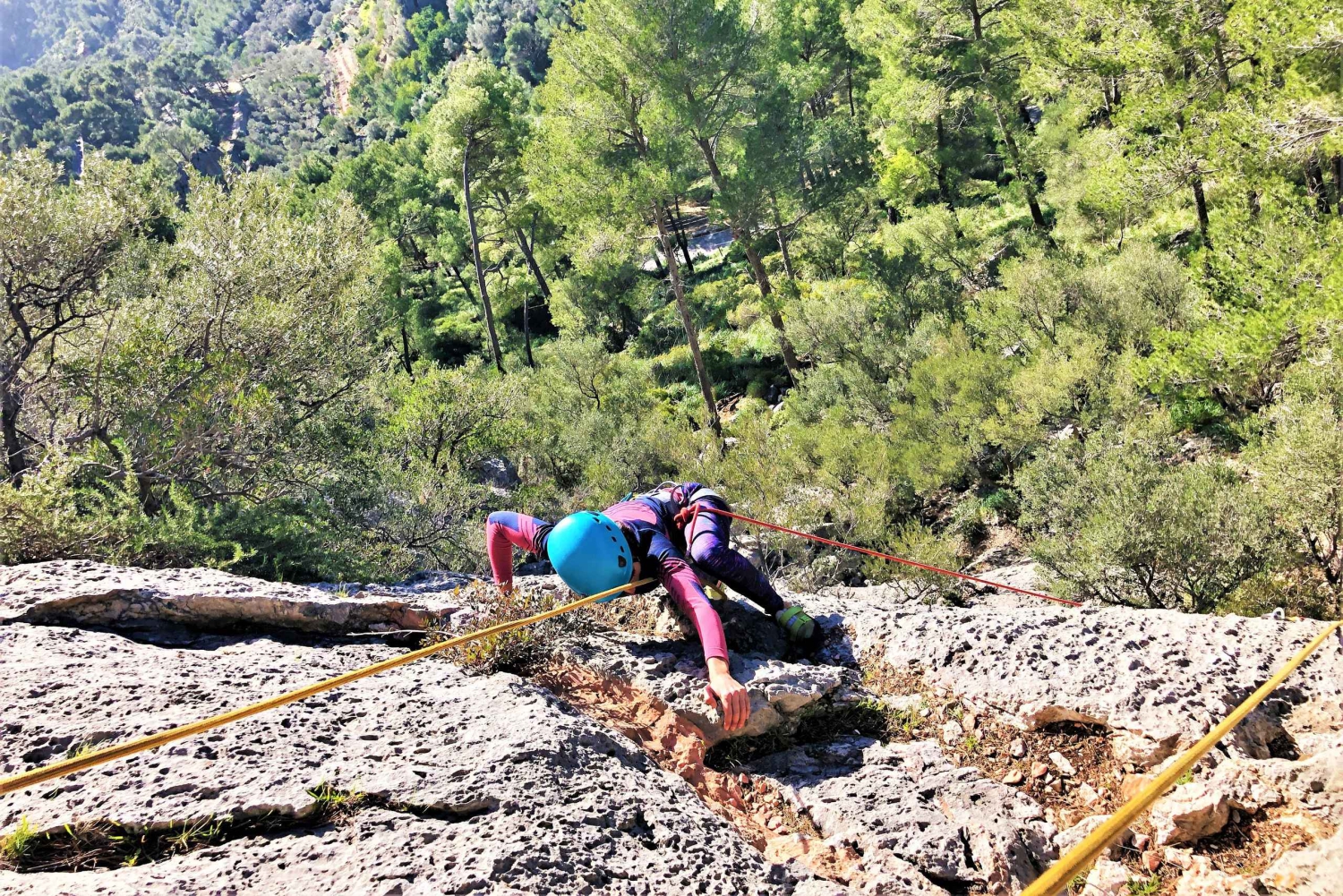 Mallorca: Jornada o Curso de Escalada Deportiva