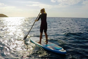 マヨルカ島：スタンドアップパドルレッスン（1時間のプライベートクラス）