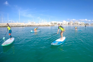 マヨルカ島：スタンドアップパドルレッスン（1時間のプライベートクラス）