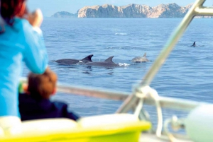 Alcudia: Sunrise at Sea & Dolphin Watching Tour