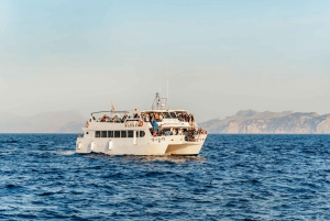 Alcudia: Sunrise at Sea & Dolphin Watching Tour