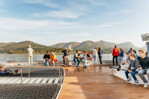 Alcudia: Sunrise at Sea & Dolphin Watching Tour