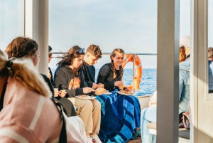 Alcudia: Sunrise at Sea & Dolphin Watching Tour