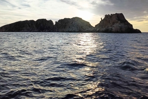 マヨルカ島：サンセットエコチャーター体験