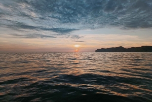 マヨルカ島：サンセットエコチャーター体験