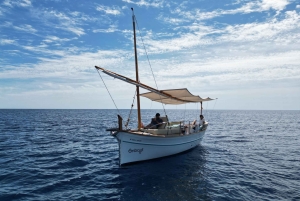 マヨルカ島：サンセットエコチャーター体験