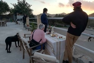 Mallorca: Solnedgangsekskursjon, hesteshow og falkoneri.