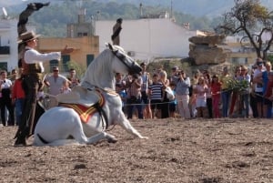 Mallorca: Solnedgangsekskursjon, hesteshow og falkoneri.