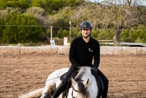 Mallorca: Solnedgangsekskursjon, hesteshow og falkoneri.