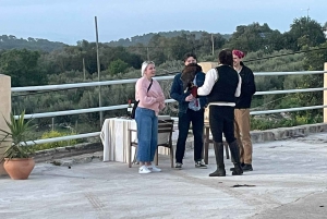 マヨルカ：サンセットツアー、馬術ショー、ファルコナーリア。