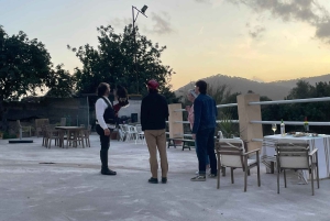 マヨルカ：サンセットツアー、馬術ショー、ファルコナーリア。