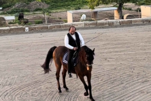 マヨルカ：サンセットツアー、馬術ショー、ファルコナーリア。