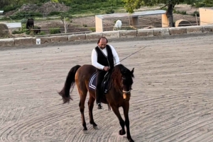 Mallorca: Sunset Horseback Ride & Spanish Riding School Show