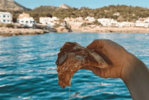 マヨルカ：サンセットピザボートツアー アンドラッチ - ドラゴンセラ + スノーケリング