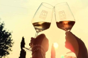 Mallorca: Sunset Wine Tasting Minibus Bodega Tour