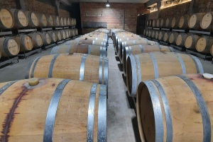 Mallorca: Sunset Wine Tasting Minibus Bodega Tour