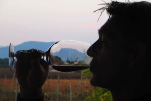 Mallorca: Sunset Wine Tasting Minibus Bodega Tour