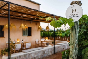 Mallorca: Sunset Wine Tasting Minibus Bodega Tour