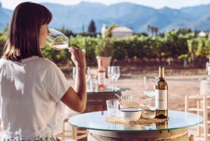 Mallorca: Sunset Wine Tasting Minibus Bodega Tour