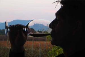 Mallorca : Sunset Wine Tasting Minibus Tour - GUIDE ANGLAIS