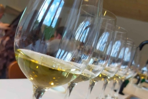 Mallorca: The Wine Curious - Local Wine tasting Experience