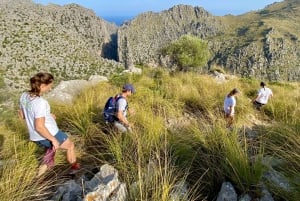 Mallorca: Torrent de Pareis trekking Adventure