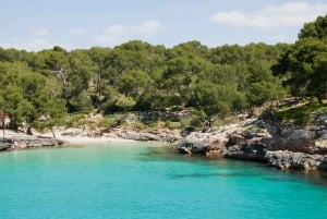 Rundresa på Mallorca: Cala Sa Nau, Cala Mitjana och Cala Marçal