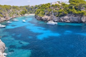 Excursión a Mallorca: Es Trenc, Cala Pi y Los Deltas