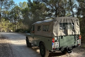 Palma de Mallorca: Tour Land Rover Calas SW Mallorca