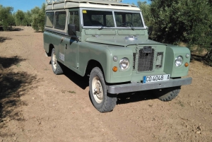 Palma de Mallorca: Tour Land Rover Calas SW Mallorca