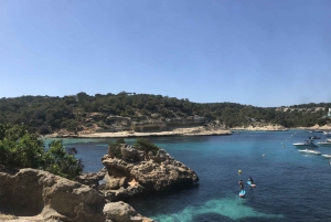 Palma de Mallorca: Tour Land Rover Calas SW Mallorca