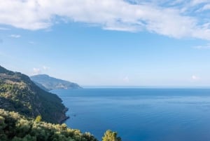 Maiorca: passeio por Sóller e visita a Son Marroig com vista para Sa Foradada