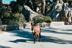 Ervaring op Mallorca: Sa Calobra, Torrent Pareis & Cala Tuent