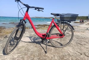 Mallorca: Udlejning af cykler eller elcykler i Cala Millor