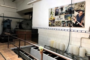 Mallorca: Tramuntana Mountains Tour with Local Guide & Lunch