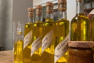 Mallorca: Tramuntana Mountains Tour with Local Guide & Lunch