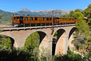 Palma: Tramuntana Full-Day Tour with Sóller Train and Lunch
