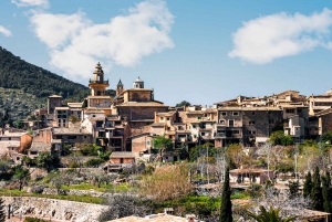 Mallorca: Tramuntana Tour with Historic Railway Ride