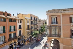 Mallorca: Transfer to Palma self-guided Tour