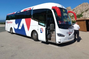 Mallorca: Transfer til Palma - guidet tur på egen hånd