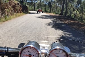 Från Cala Millor: Berg och hav Panorama Trike Tour