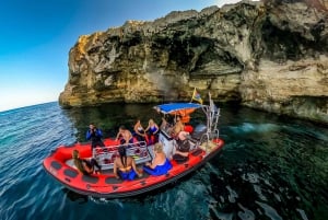 Mallorca: Try Scuba Diving by Boat