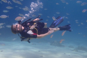 Mallorca: Scuba Diving Tour in a Marine Nature Reserve