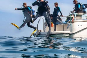 Mallorca: Try Scuba - try diving from a boat with an SSI instructor