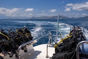 Mallorca: Try Scuba - try diving from a boat with an SSI instructor