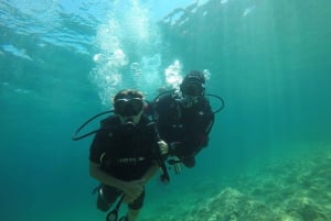 Mallorca: Try Scuba - try diving from a boat with an SSI instructor